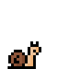 Snail